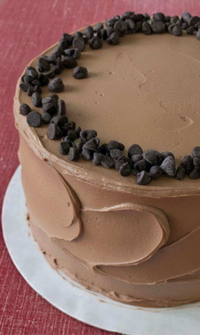 Chocolate cake with chocolate frosting and chocolate chips on a red surface