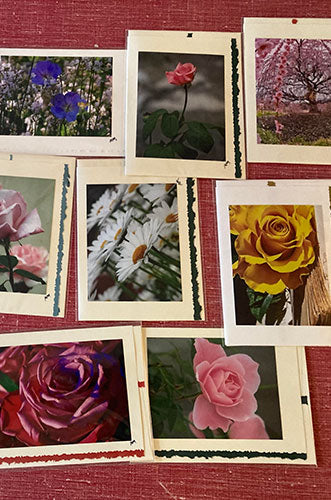 A collection of nine framed photographs, each featuring a different floral or nature scene, arranged on a red surface. The photographs include close-ups of various colored roses (pink, red, yellow), daisies, purple and blue flowers in a garden, and a cherry blossom tree.