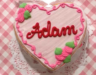 Heart-shaped cake with pink frosting, green leaves, and the name 'Adam' on a checkered background.